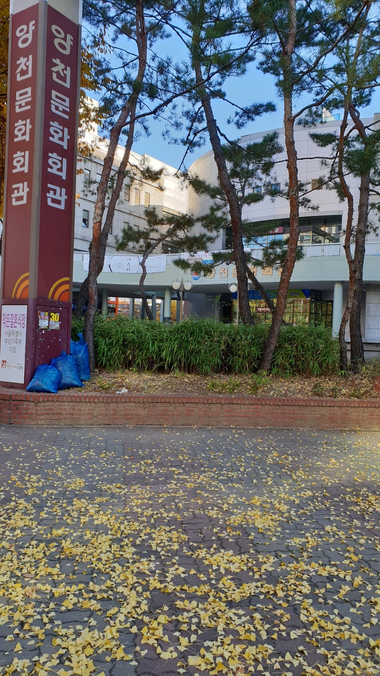 한국춤하나문화진흥회 이미지