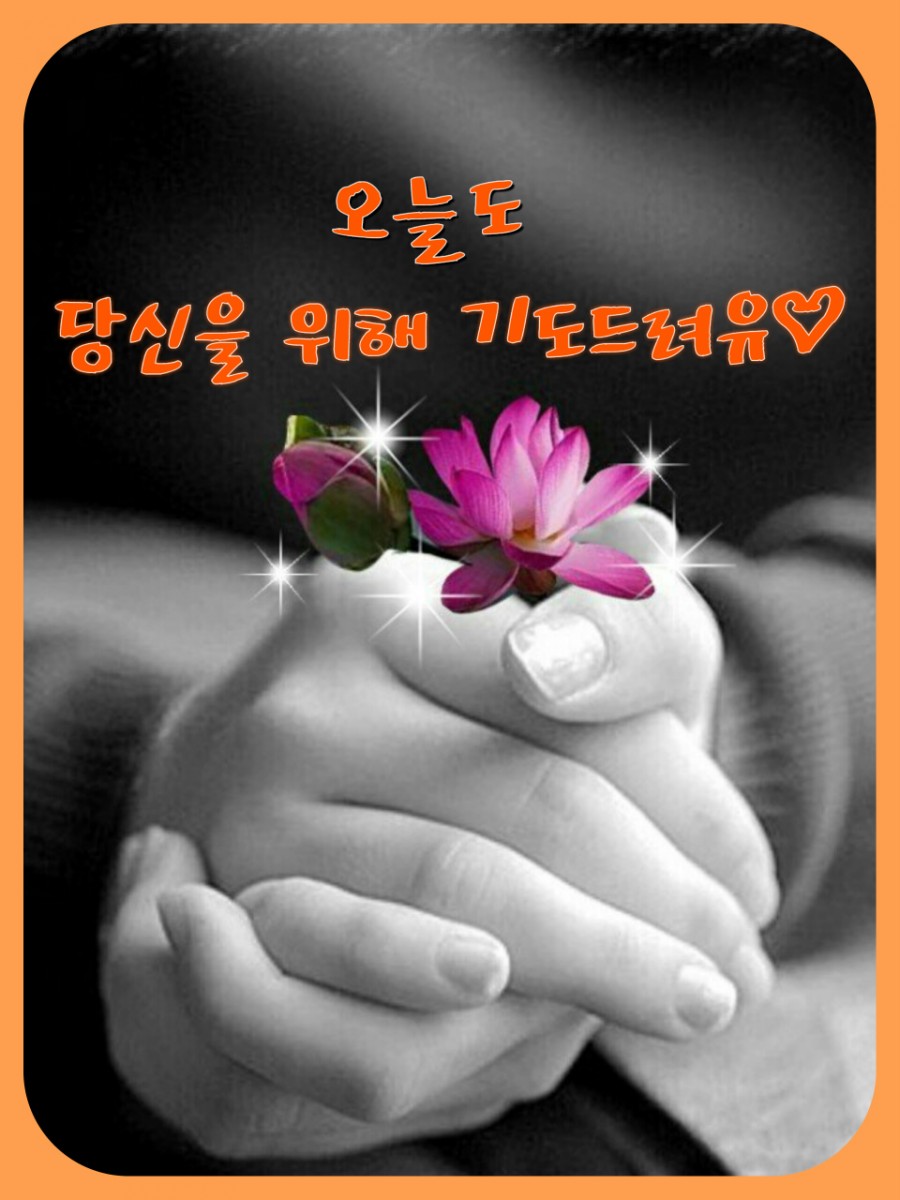일신사 이미지