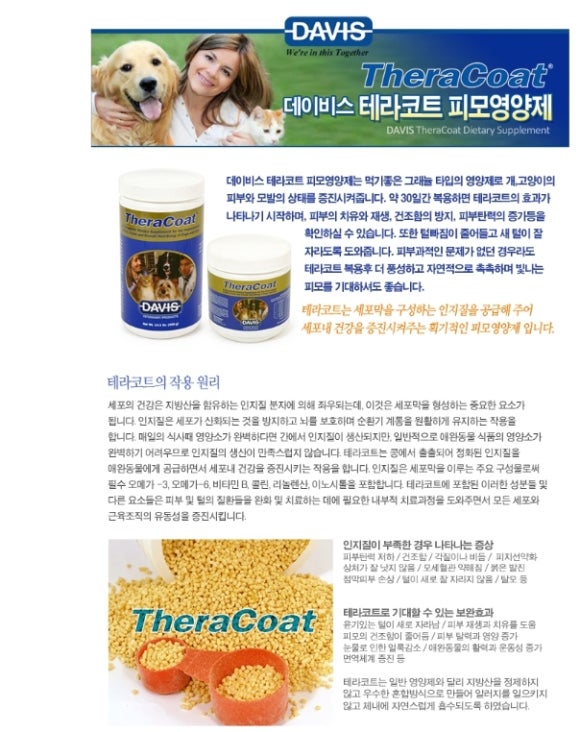 테이블스푼(Table Spoon) 이미지