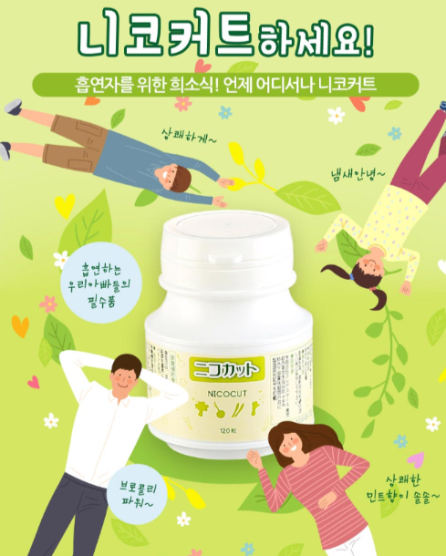 주식회사 니코와 이미지