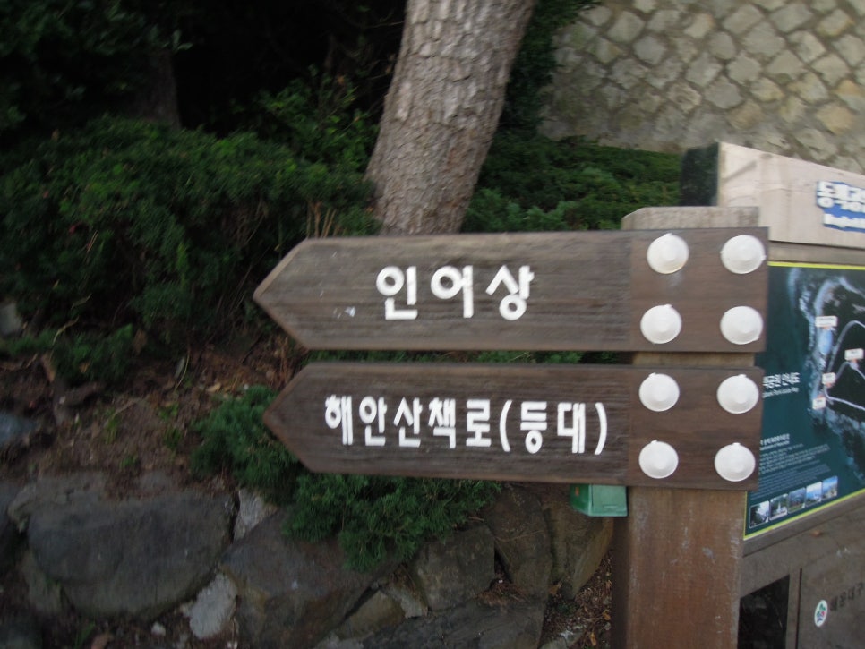자갈치부산어묵 이미지