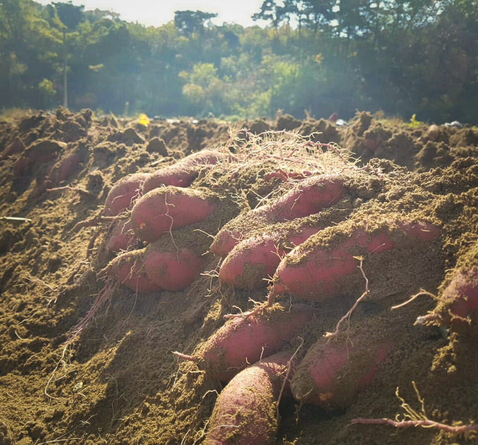 장개울농장 이미지