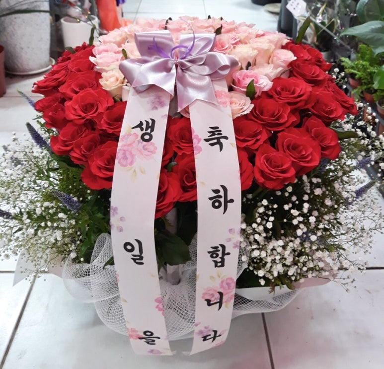 안중화원 이미지