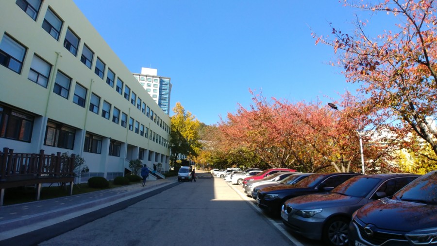 경성관광(주) 이미지