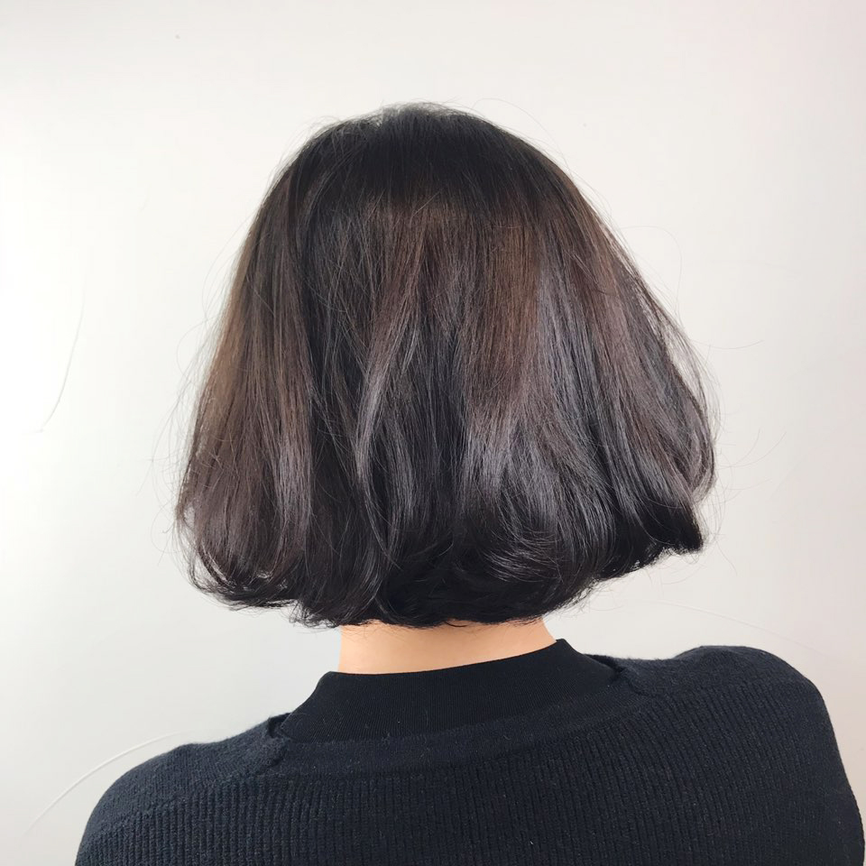 보니예 이미지