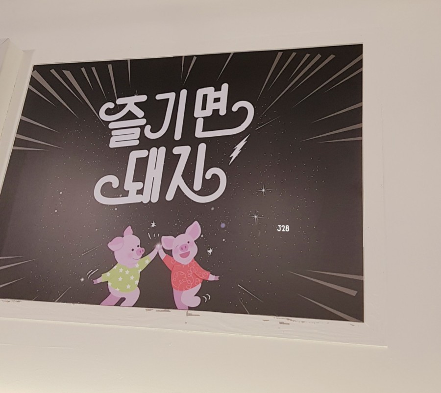 돈추 이미지