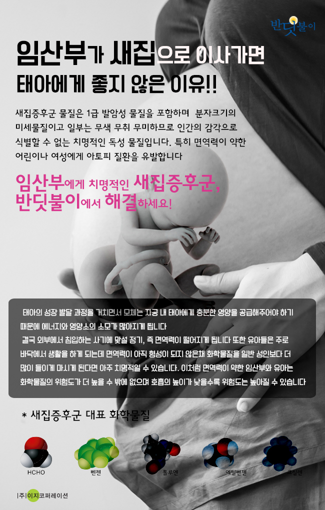 이지코퍼레이션 이미지