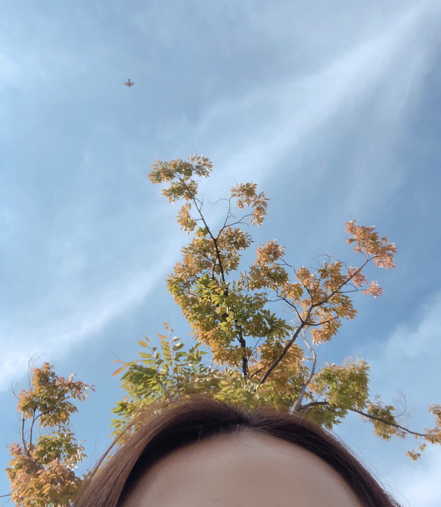 포미컴퍼니 이미지