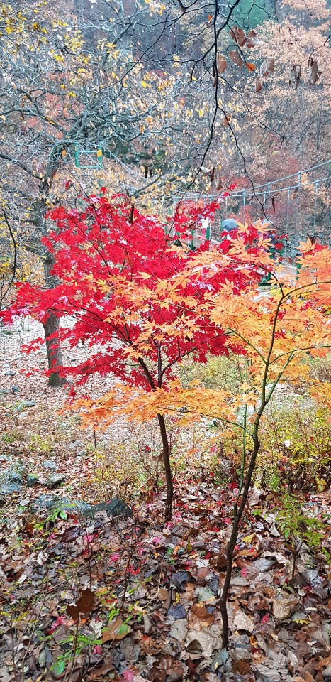 (주)여행과나무 이미지
