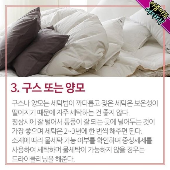 매일세탁 이미지