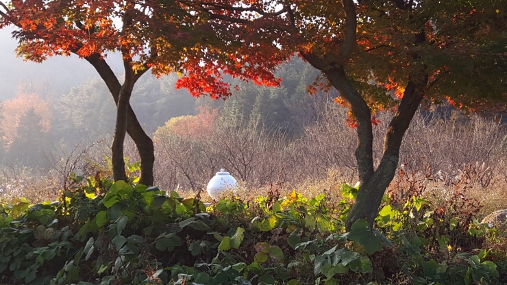 축령산휴림 이미지