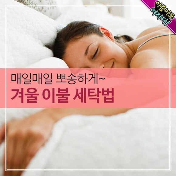매일세탁 이미지