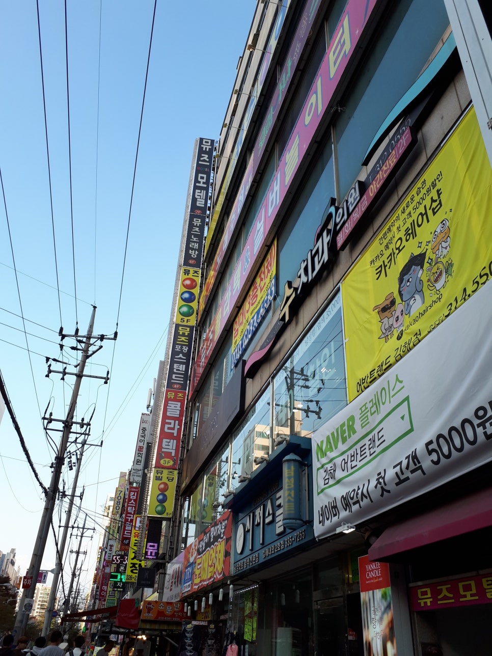 뮤즈포장스텐드 이미지