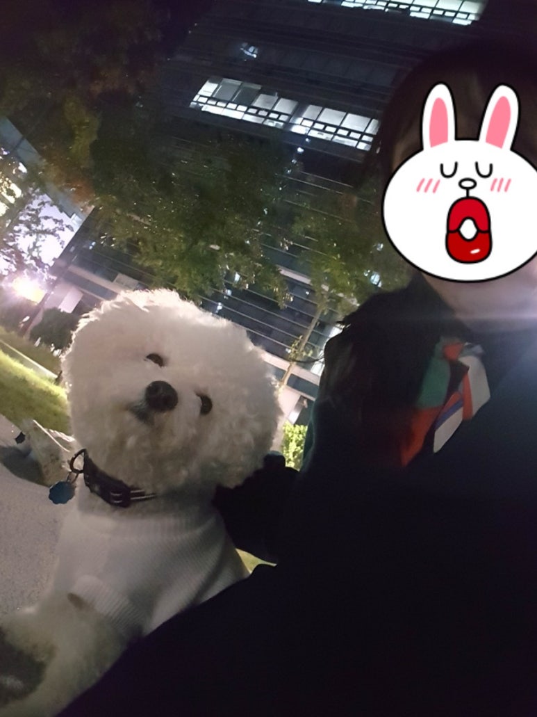 (주)포시즌호텔 이미지