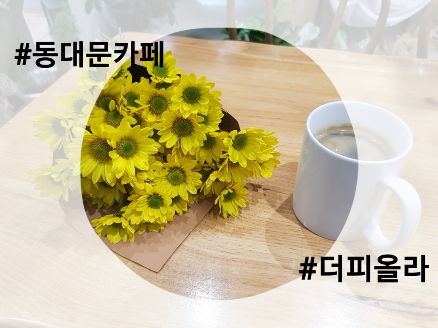 꽃피올라 이미지