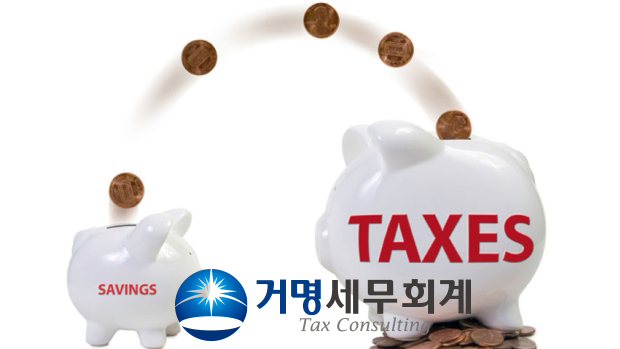 세종세무회계사무소 이미지