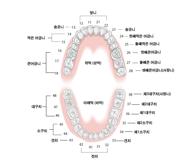이세현치과 이미지