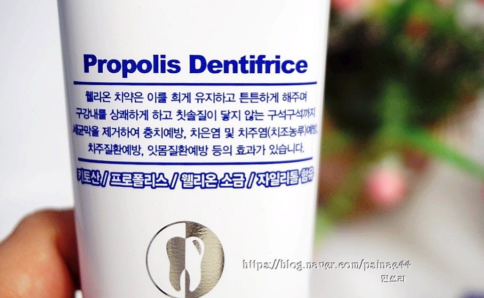 웰리온 이미지