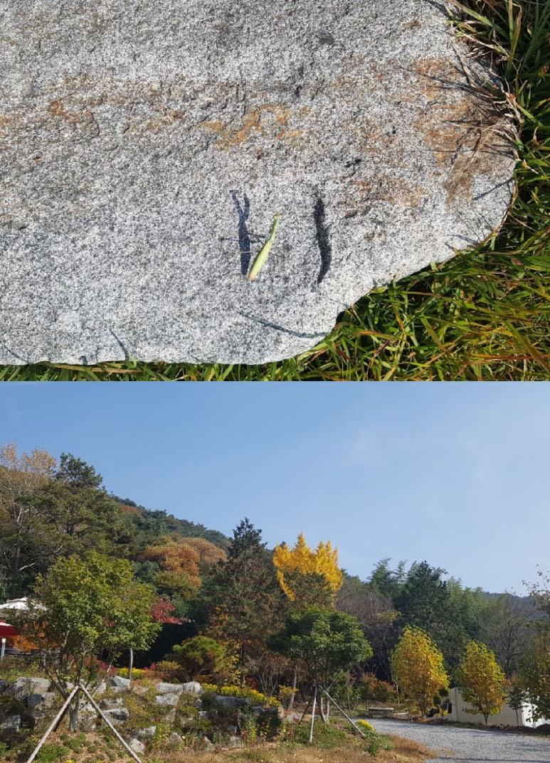 한재골카페드림 이미지
