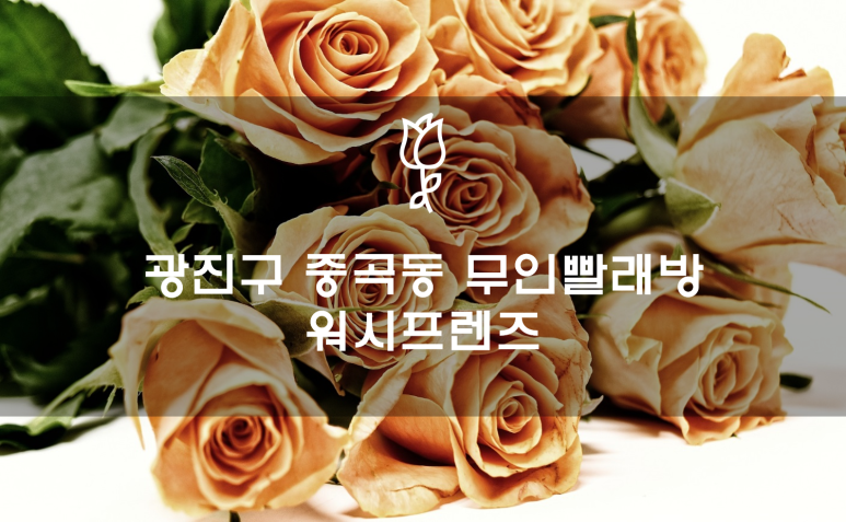 워시프렌즈셀프빨래방광진구 이미지