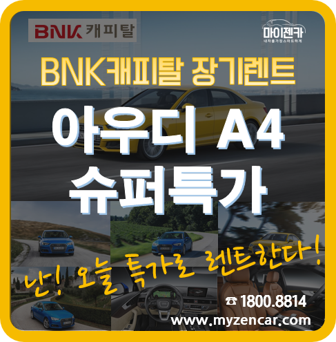 마이젠카 이미지