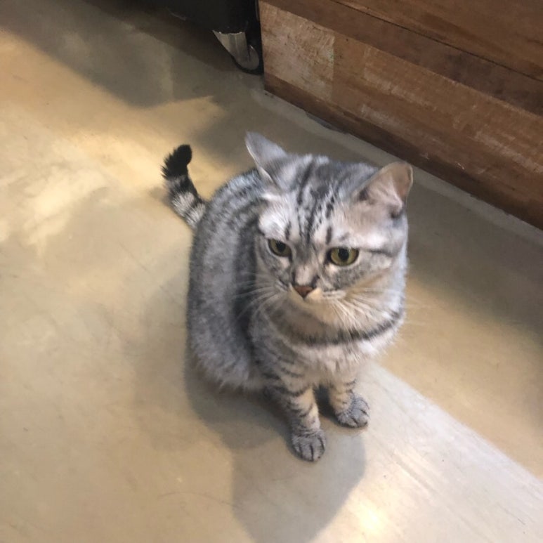 플랫폼 1021 이미지