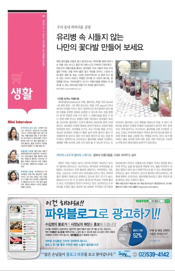 카타리나 스튜디오 이미지