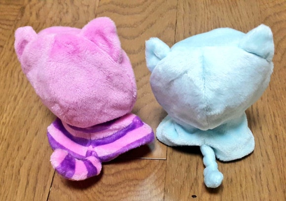 누이즈 이미지