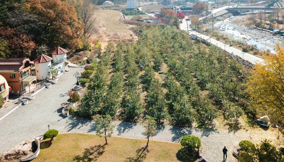 사과밭스테이 이미지