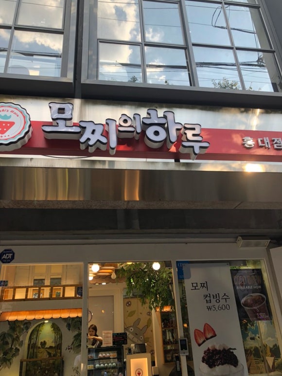 모찌의하루 이미지