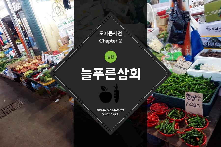 늘푸른상회 이미지