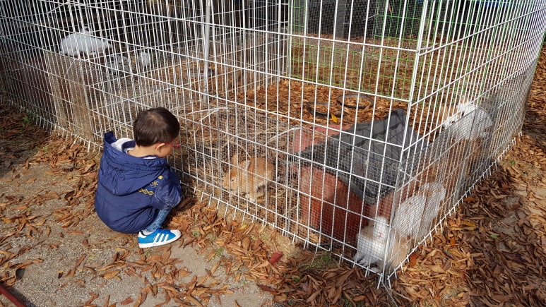 안면도스쿨버스캠핑장 이미지