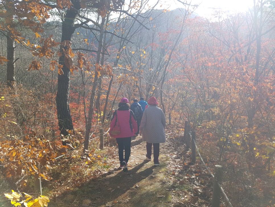바람길여행사 이미지