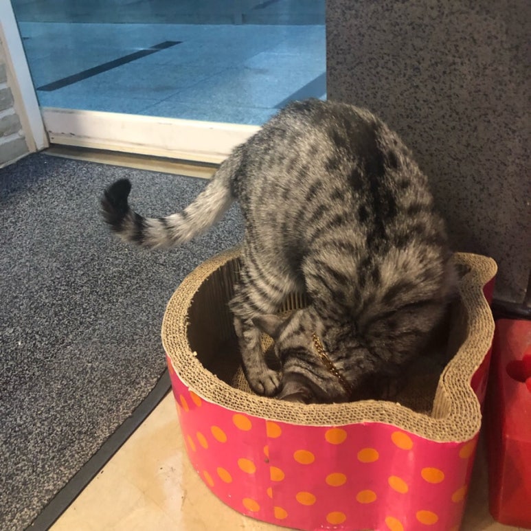 플랫폼 1021 이미지