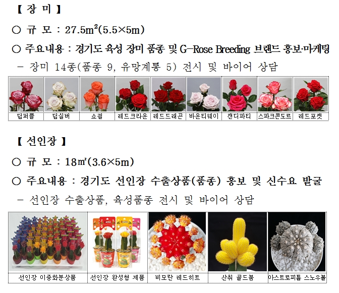 세계선인장 이미지