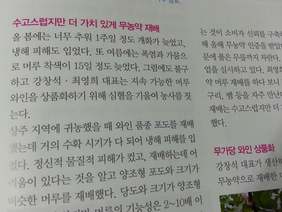 젤코바 이미지