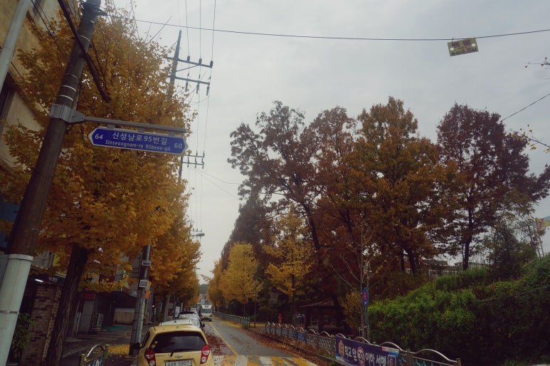 빈티지DAL 이미지