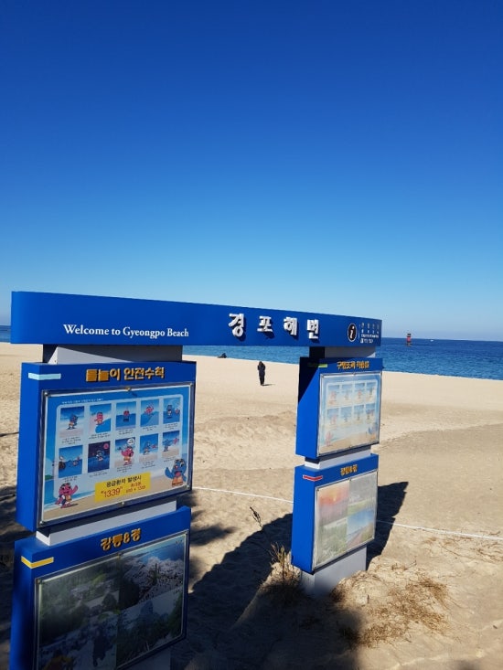 바다여행횟집 이미지