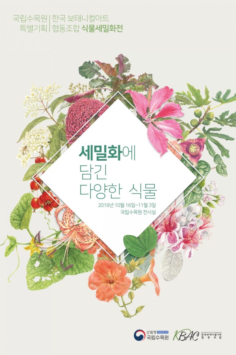 아트기획협동조합 이미지