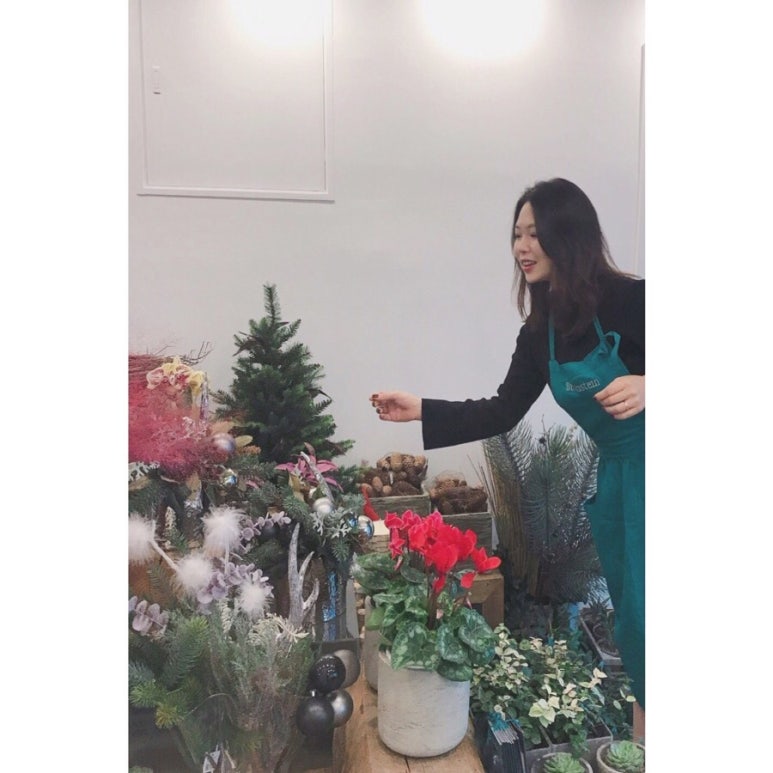 블룸슈타인 이미지