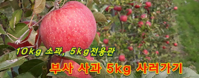 광야농원 이미지