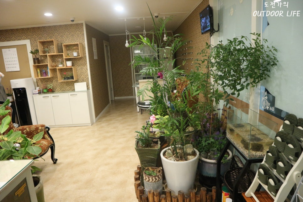 중국정통황제아로마 이미지