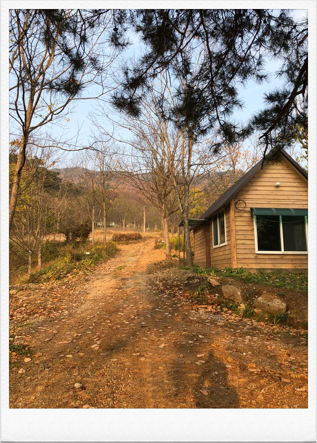 황금텃밭농장 이미지