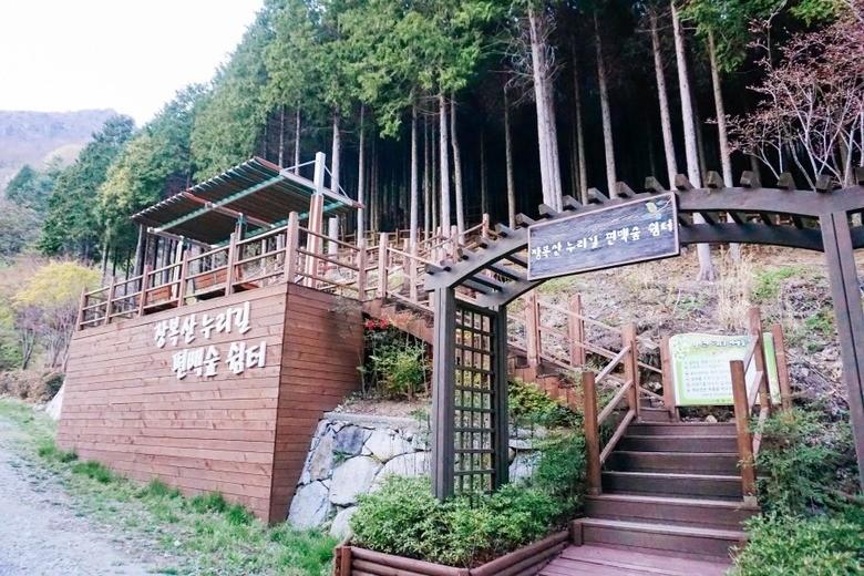 콜핑부산 이미지