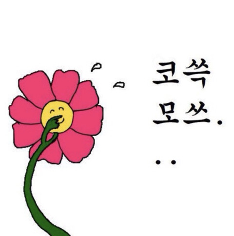 스테레오타입오브부산 이미지