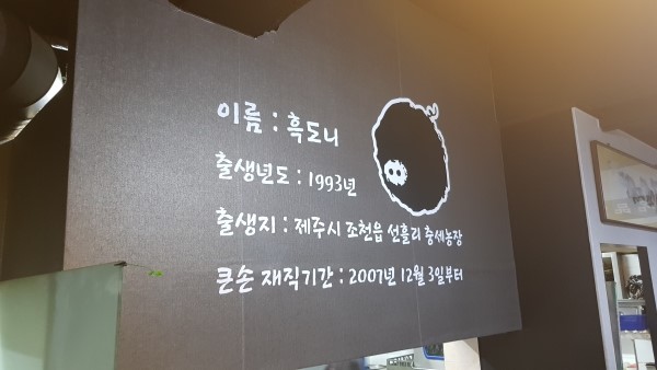 제주충세흑돼지 이미지