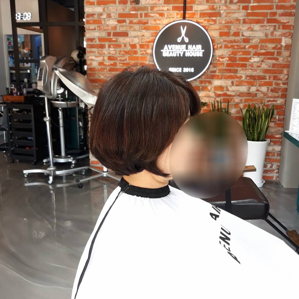 보니헤어 이미지