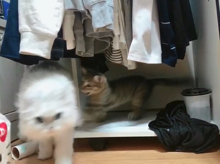 루루옷방 이미지