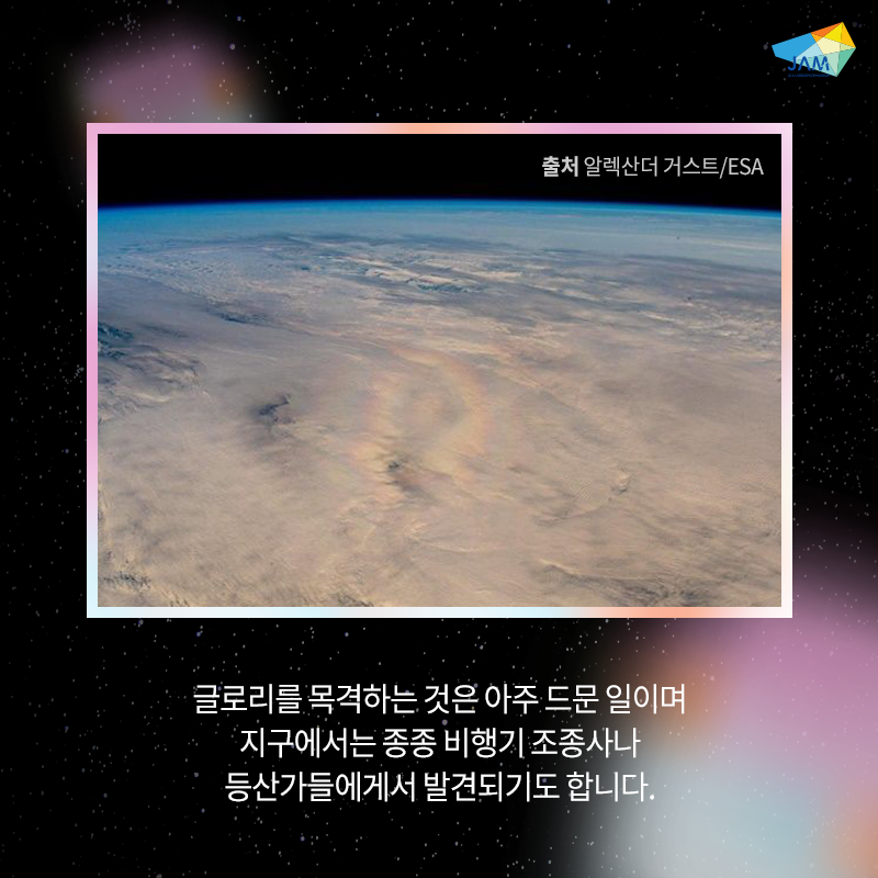 글로리비 이미지