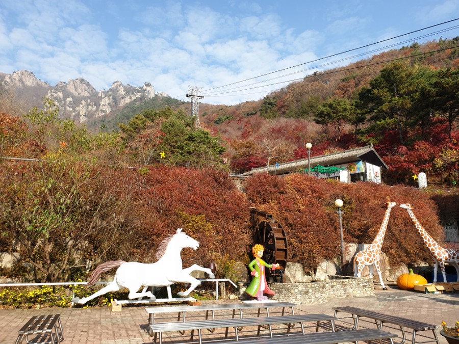 대둔산힐링센터 이미지